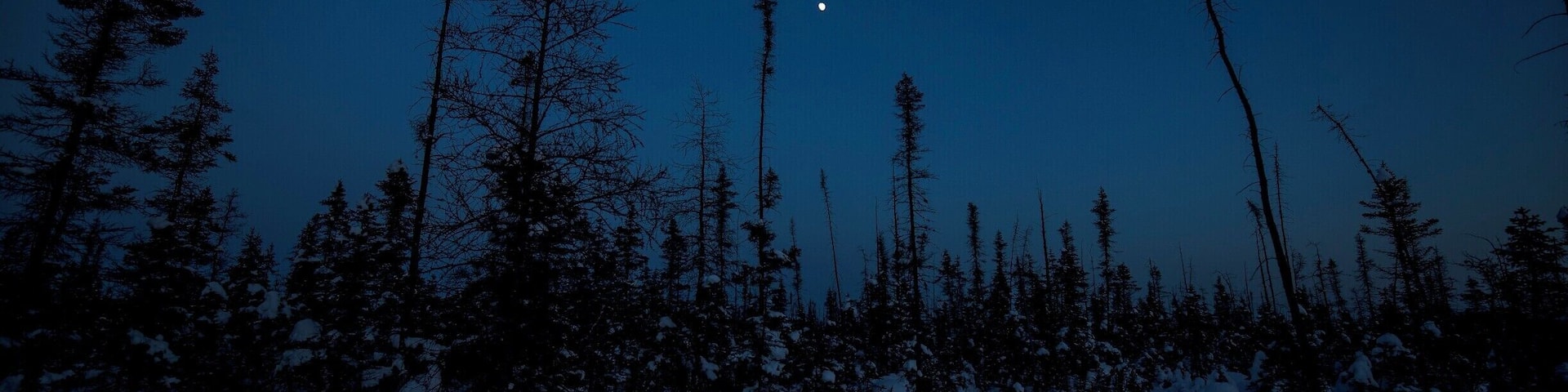 One of my favourite spots to explore, the Torrance Barrens Dark-Sky Preserve is a little spot in Ontario Cottage Country that is free from any near-by light pollution which makes for some impressive night skies.
#BvSApplication
