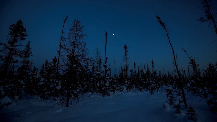 One of my favourite spots to explore, the Torrance Barrens Dark-Sky Preserve is a little spot in Ontario Cottage Country that is free from any near-by light pollution which makes for some impressive night skies.
#BvSApplication