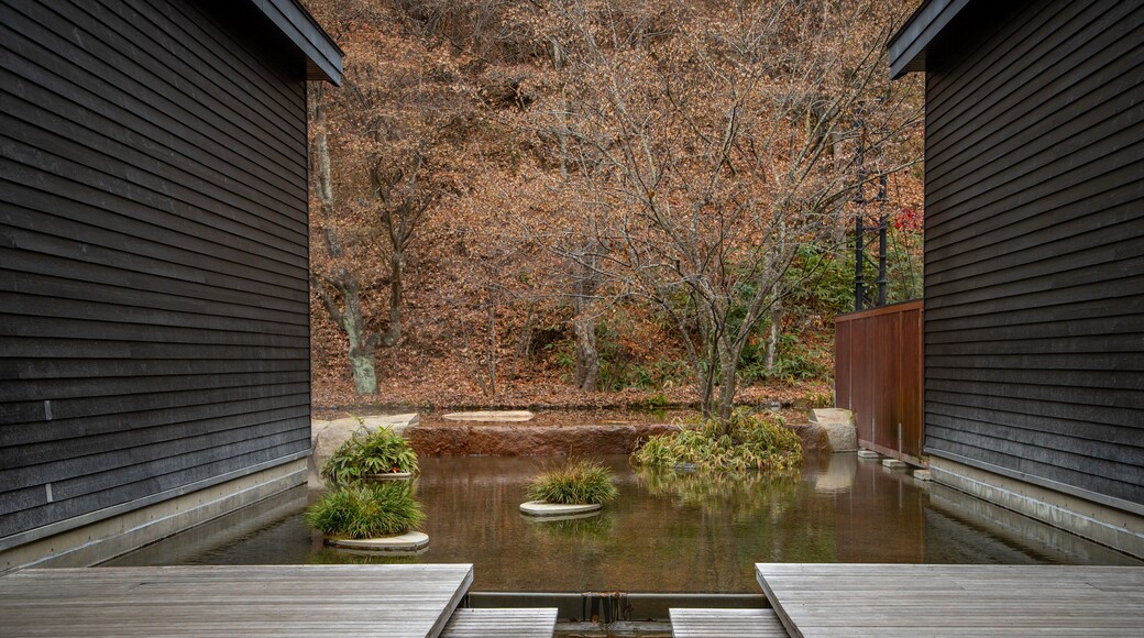 Hoshino Onsen Hot Spring which includes a pond