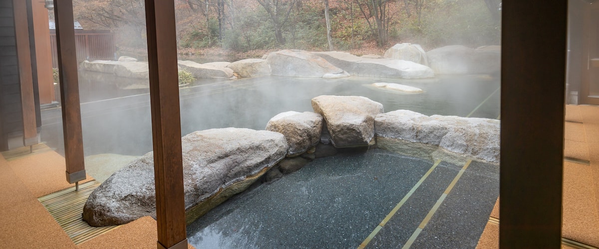 Hoshino Onsen Hot Spring showing a hot spring and a pool