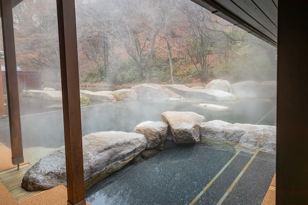 Hoshino Onsen Hot Spring showing a hot spring and a pool
