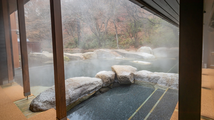 Hoshino Onsen Hot Spring showing a hot spring and a pool