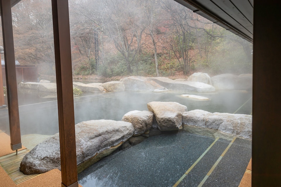 A hot spring with large rocks and a forested area in the background.
