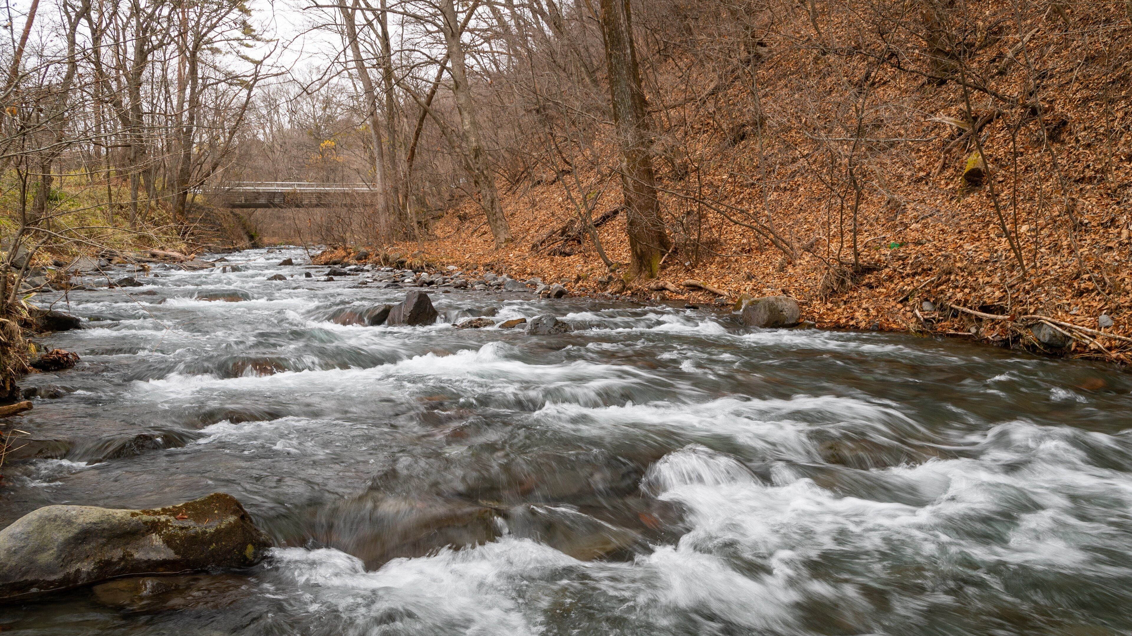 Hoshino Onsen Hot Spring which includes a river or creek
