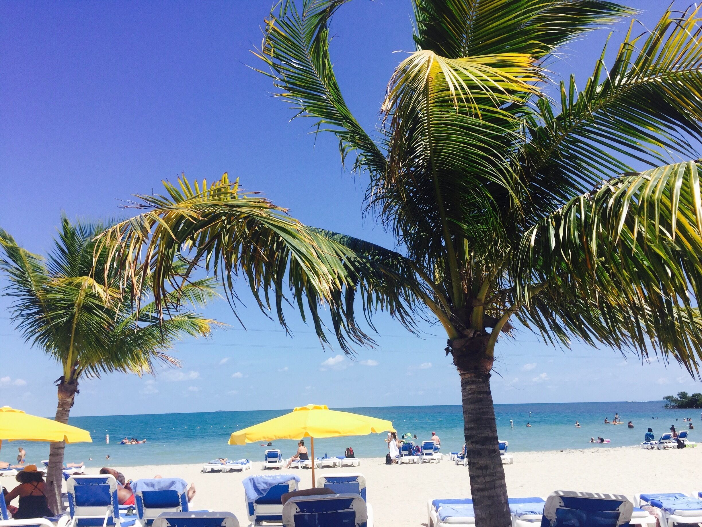 Uma praia com palmeiras, espreguiçadeiras e um céu azul límpido.