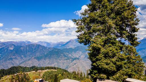 Shogran