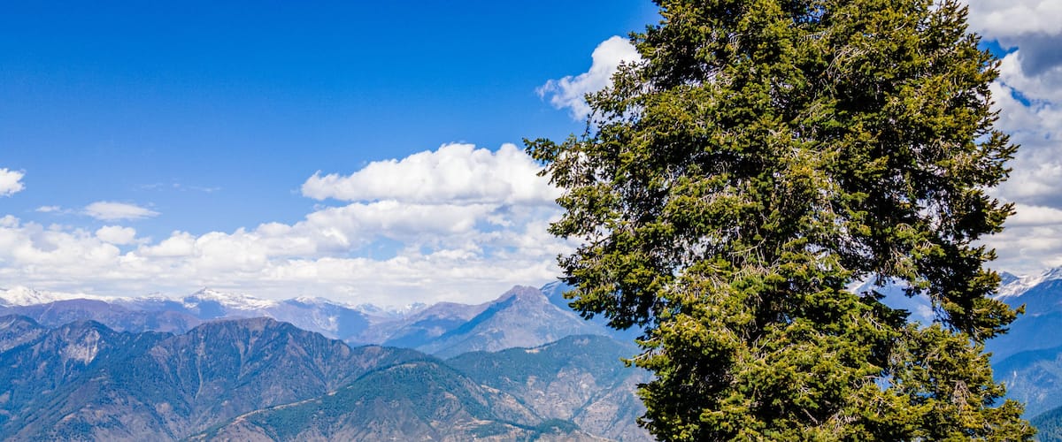 A mountain landscape with snow-capped peaks, dense forests, and a clear blue sky.