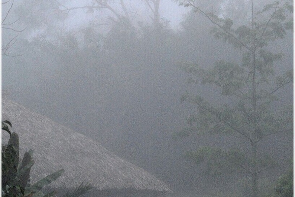 A foggy landscape with a thatched-roof structure and a winding path.