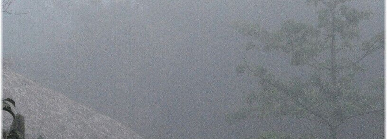 Cabana at the La Milpa Ecolodge and Research Station seen in the early morning fog. The lodge is in the Rio Bravo Conservation area in the Belizean rainforest near the Guatemalan and Mexican borders and attracts birders and those interested in the local wildlife and Mayan ruins. The tree on the right is a kapok or ceiba tree, which Mayans believed represented the hierarchical structure of the universe.