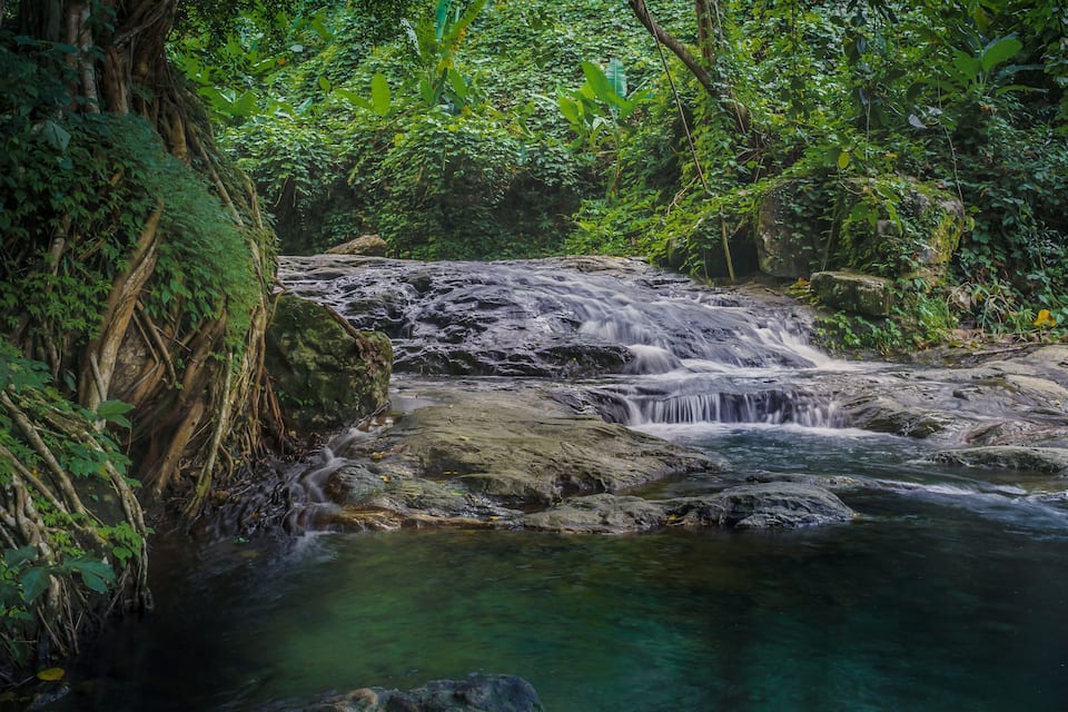 A waterfall in a lush, green forest.