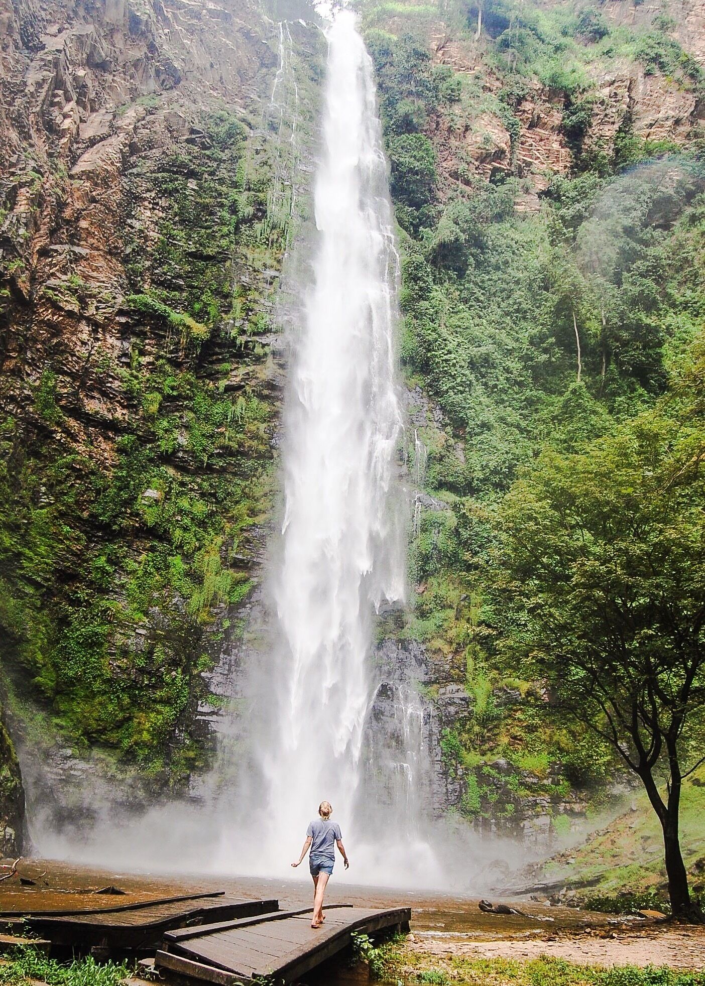 A waterfall cascading down a rocky cliff surrounded by lush greenery.