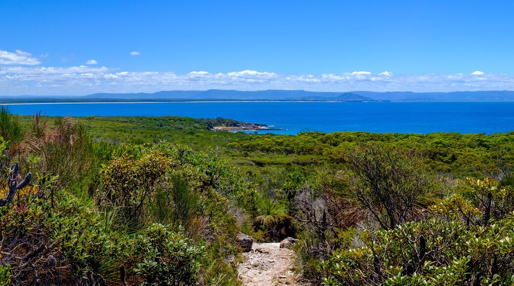 Badia Vella d'Erowal