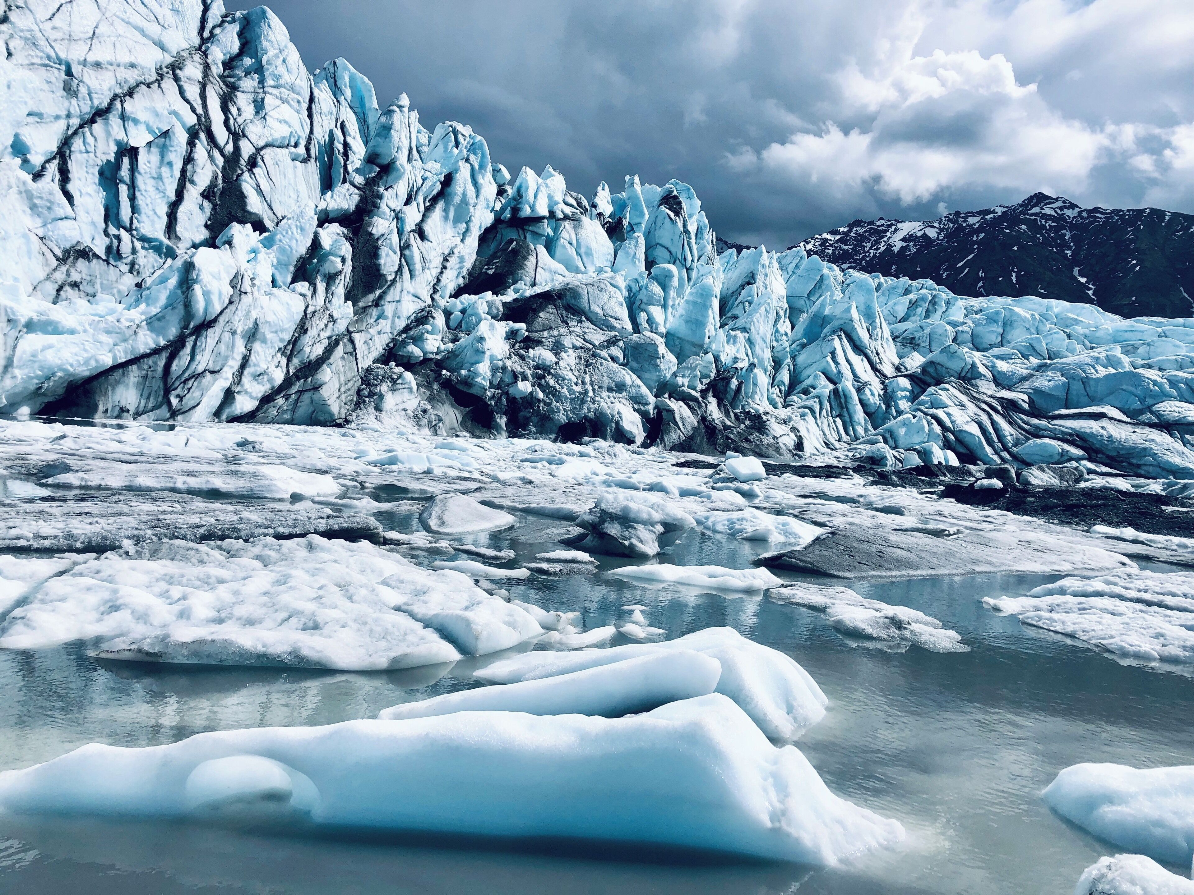 #Nature #NaturePhotoContest