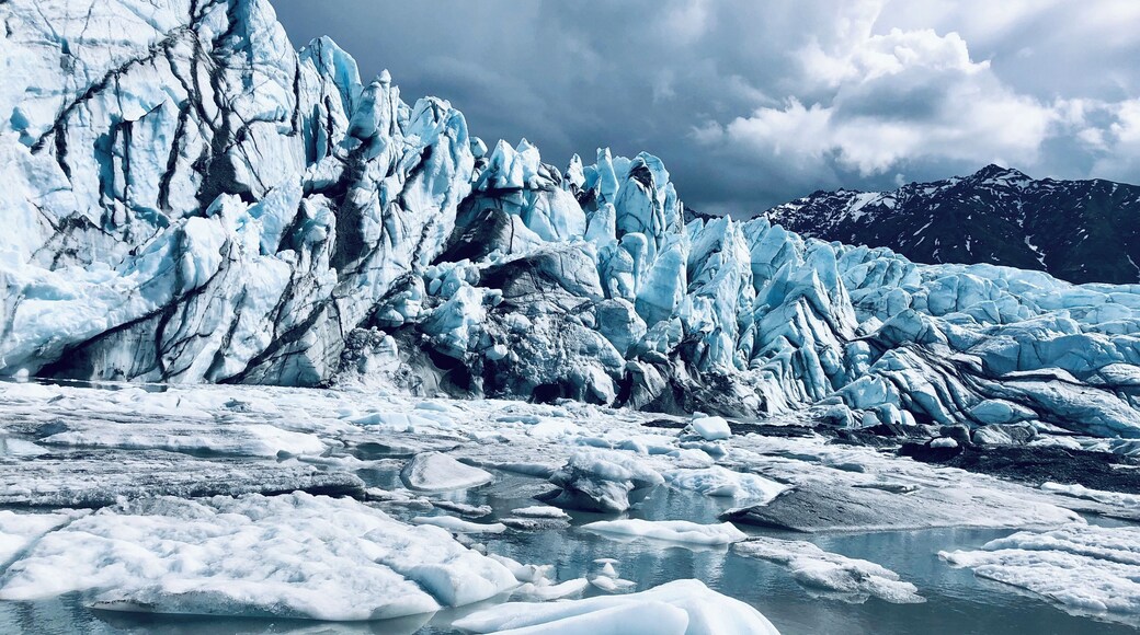 #Nature #NaturePhotoContest