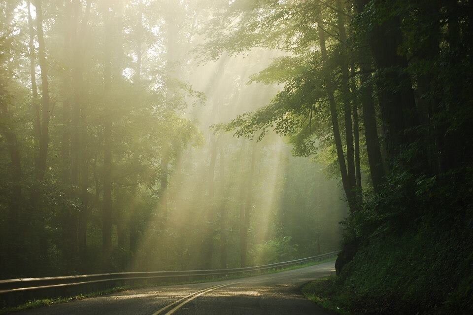 On my way up to the picnic area near the pool one summer morning. I stopped in the middle of the road and had to admire this gorgeous scene. Natural Tunnel is one MUST SEE stop if you come to Scott County, Virginia. Beautiful hiking trails and nice campgrounds! #roadtrip #weekendgetaway #scottcountyvirginia