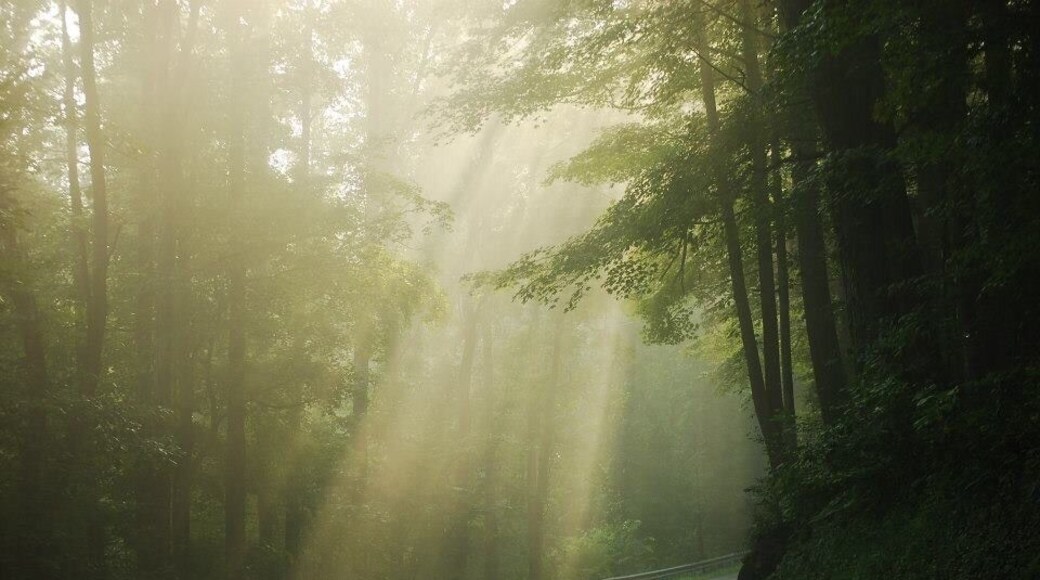 On my way up to the picnic area near the pool one summer morning. I stopped in the middle of the road and had to admire this gorgeous scene. Natural Tunnel is one MUST SEE stop if you come to Scott County, Virginia. Beautiful hiking trails and nice campgrounds! #roadtrip #weekendgetaway #scottcountyvirginia