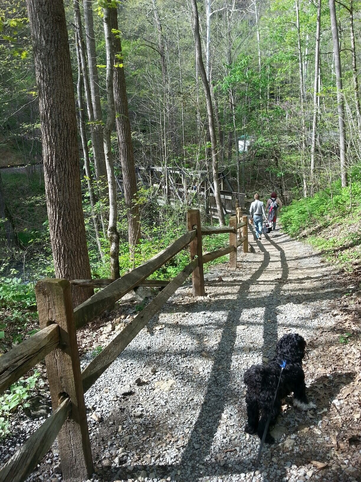 Love walking the trails here with the husband, kids, & our dogs!