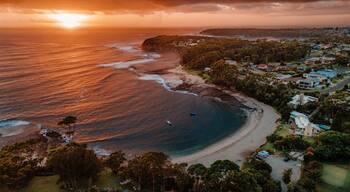 Mollymook
