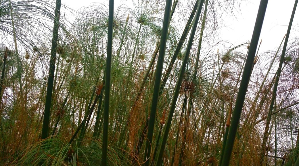 A day trip near Agadir – the Crocoparc Agadir! You see not only wild creatures, but also incredibly beautiful plants – Crocoparc Agadir is indeed a recommendation! The Crocoparc Agadir is an incredible place, with the probably oldest creatures of this earth and some of the most beautiful plants in the world.
More on ... http://bit.ly/CrocoparcAgadir