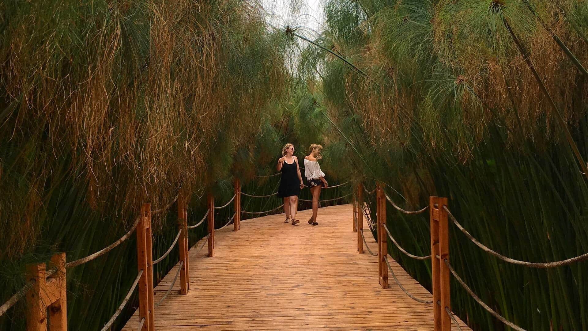 A day trip near Agadir – the Crocoparc Agadir! You see not only wild creatures, but also incredibly beautiful plants – Crocoparc Agadir is indeed a recommendation! The Crocoparc Agadir is an incredible place, with the probably oldest creatures of this earth and some of the most beautiful plants in the world.

More on ... http://bit.ly/CrocoparcAgadir