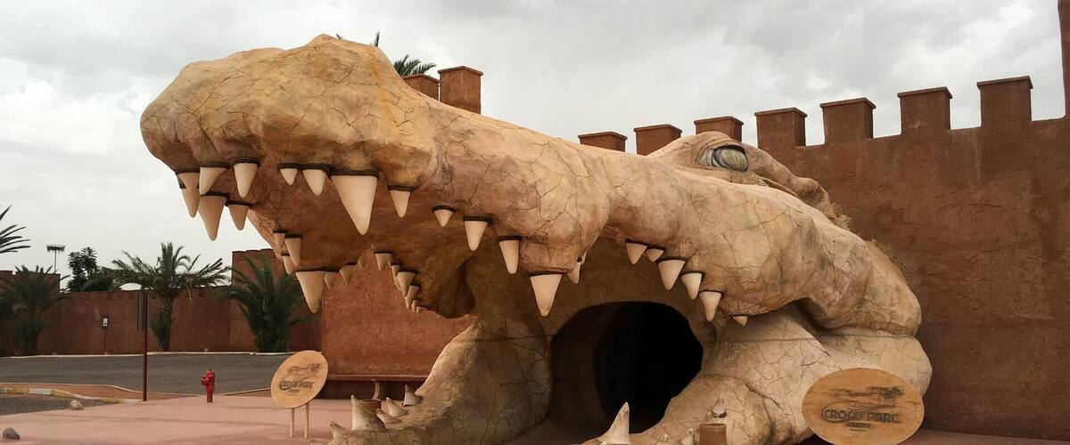 A day trip near Agadir – the Crocoparc Agadir! You see not only wild creatures, but also incredibly beautiful plants – Crocoparc Agadir is indeed a recommendation! The Crocoparc Agadir is an incredible place, with the probably oldest creatures of this earth and some of the most beautiful plants in the world.
More on ... http://bit.ly/CrocoparcAgadir