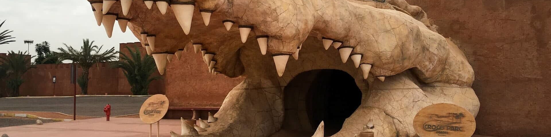 A day trip near Agadir – the Crocoparc Agadir! You see not only wild creatures, but also incredibly beautiful plants – Crocoparc Agadir is indeed a recommendation! The Crocoparc Agadir is an incredible place, with the probably oldest creatures of this earth and some of the most beautiful plants in the world.
More on ... http://bit.ly/CrocoparcAgadir