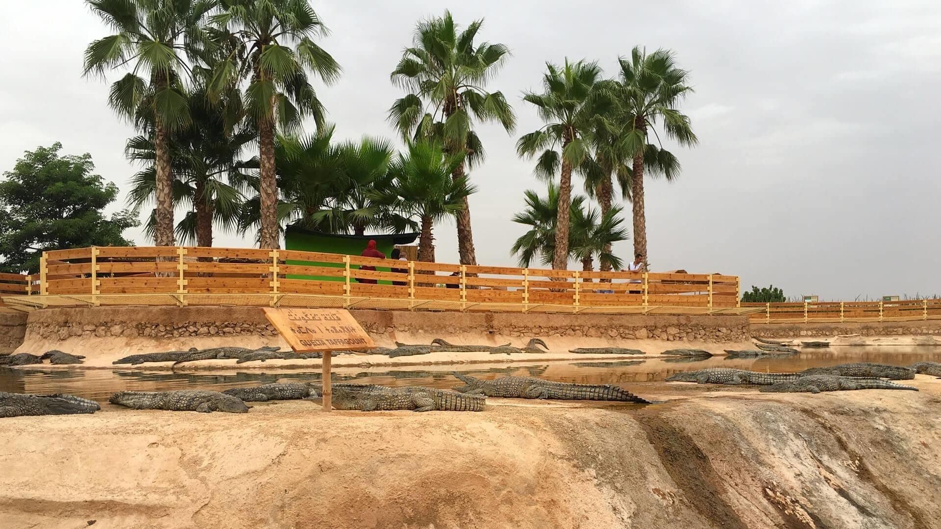 A day trip near Agadir – the Crocoparc Agadir! You see not only wild creatures, but also incredibly beautiful plants – Crocoparc Agadir is indeed a recommendation! The Crocoparc Agadir is an incredible place, with the probably oldest creatures of this earth and some of the most beautiful plants in the world.

More on ... http://bit.ly/CrocoparcAgadir