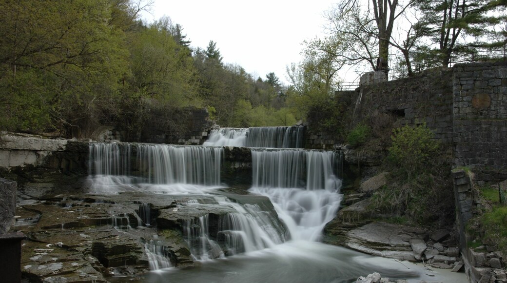 Vertical shot of Keuka Lake Outlet Trail with green trees and an old building around it