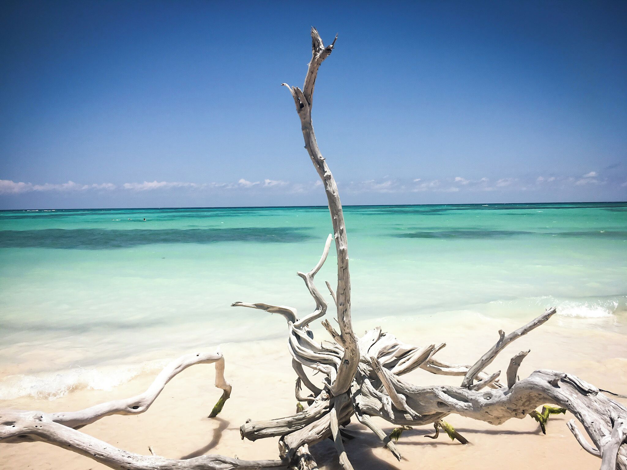 After two hours of a very bad almost dirt road in one of the oldests cars I've ever seen, this amazing beach was awaiting. Is almost hypnotical to watch the deep blue waters crashing in the white sand. Cayo Jutía is the mental picture we all have of the Caribbean #GreatOutdoors