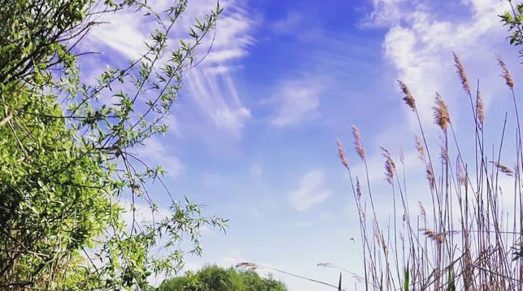 #bucharest #beliveitornot #iubesteromania