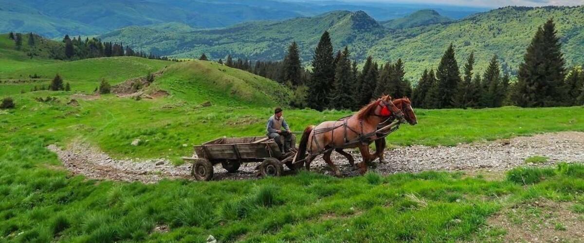 Romanian countryside