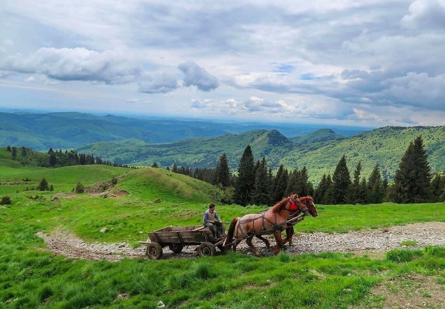 Romanian countryside