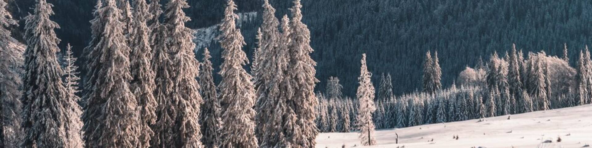 The Vladeasa mountain in winter offers some spectacular views #BvS100k