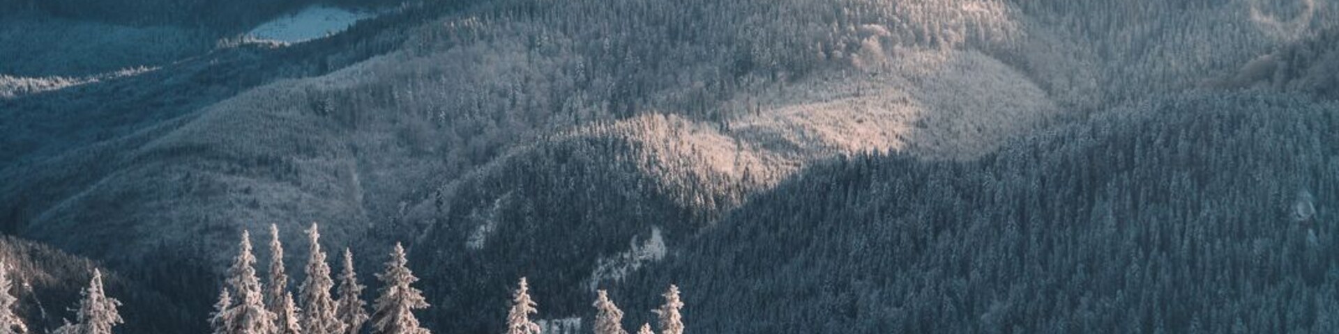 The Vladeasa mountain in winter offers some spectacular views #BvS100k