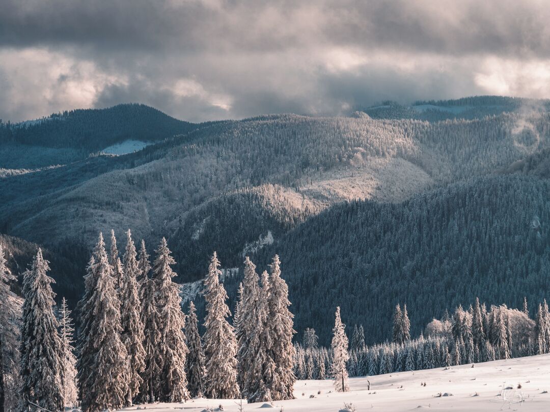 A snow-covered mountain landscape with dense forests and a cloudy sky.