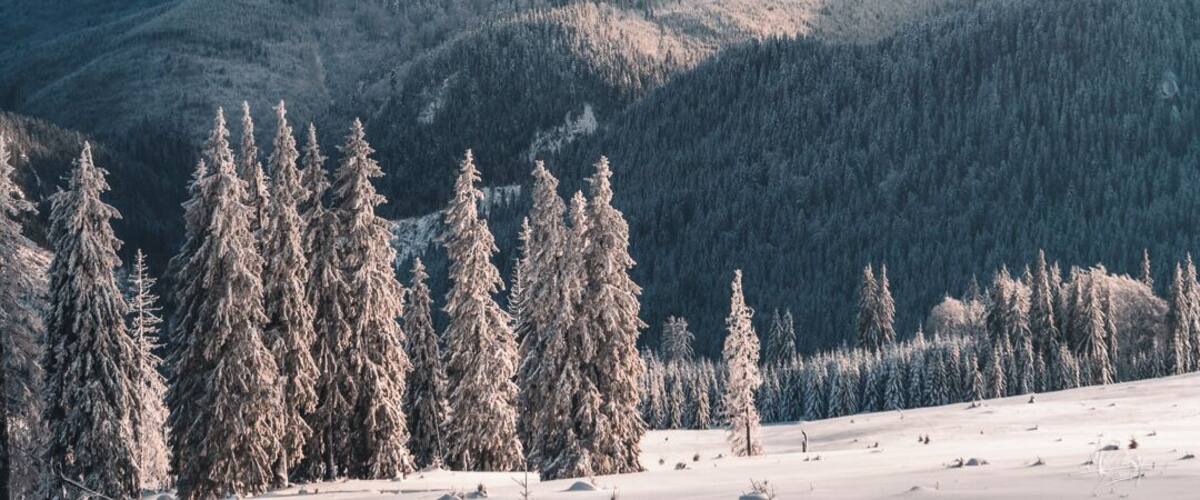 A snow-covered mountain landscape with dense forests and a cloudy sky.