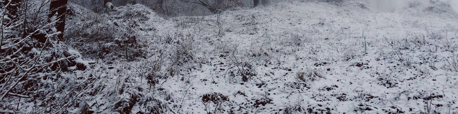 Driving to Cluj using the new detour and with high probability every winter morning looks foggy like this! Stop and shoot it!