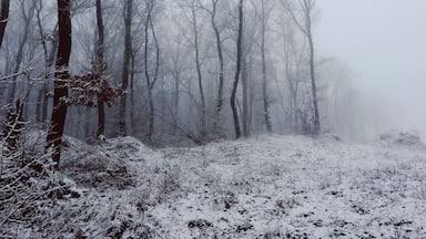 Driving to Cluj using the new detour and with high probability every winter morning looks foggy like this! Stop and shoot it!