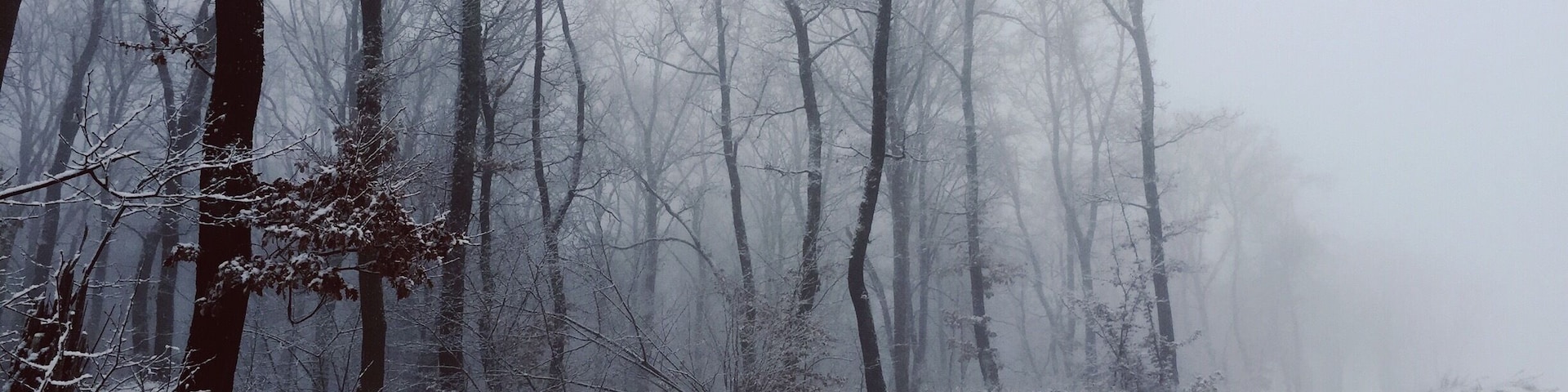 Driving to Cluj using the new detour and with high probability every winter morning looks foggy like this! Stop and shoot it!