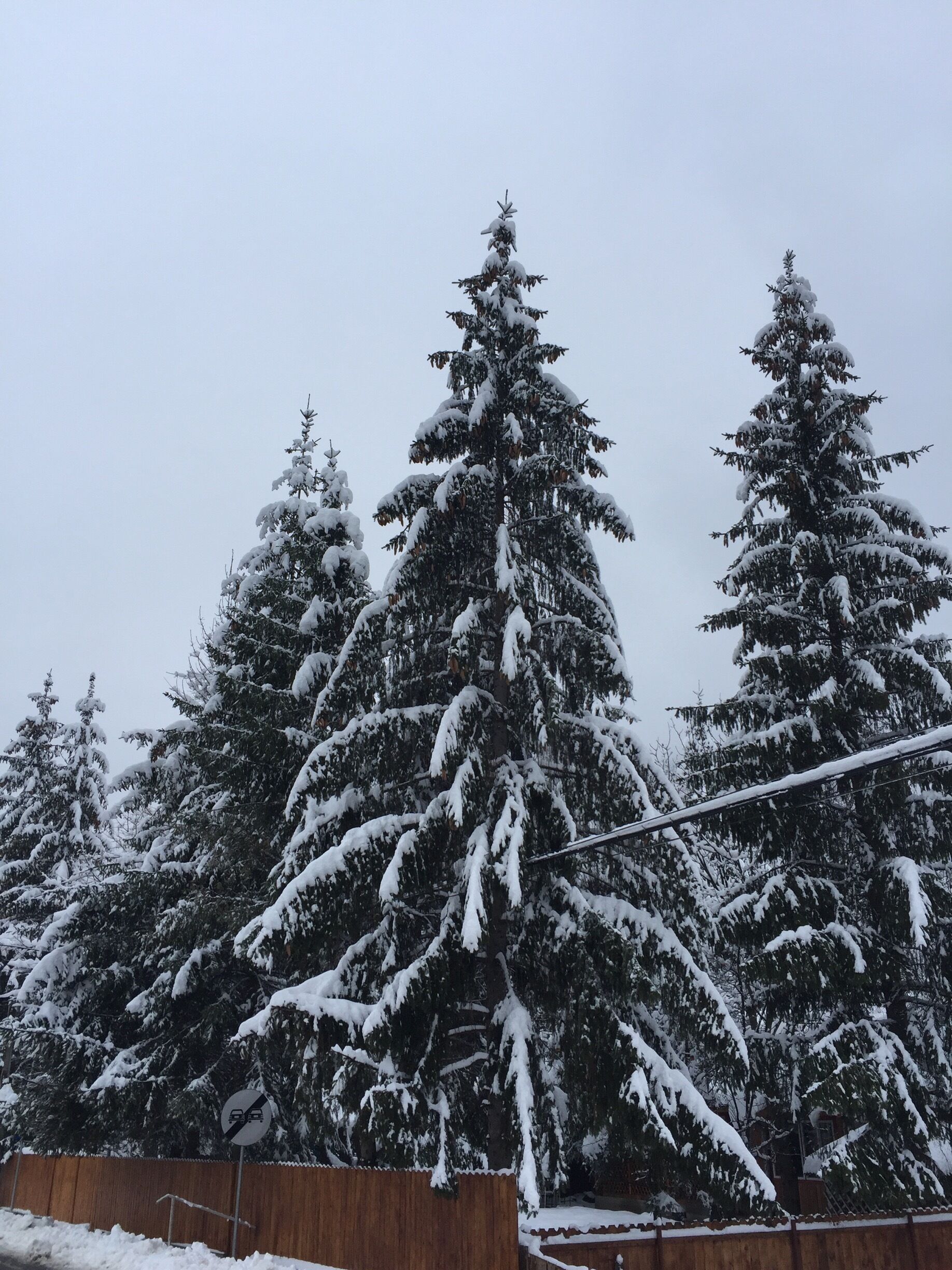 Snowy winters are the best