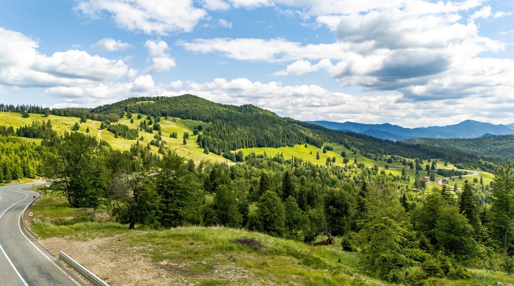 Tulnici