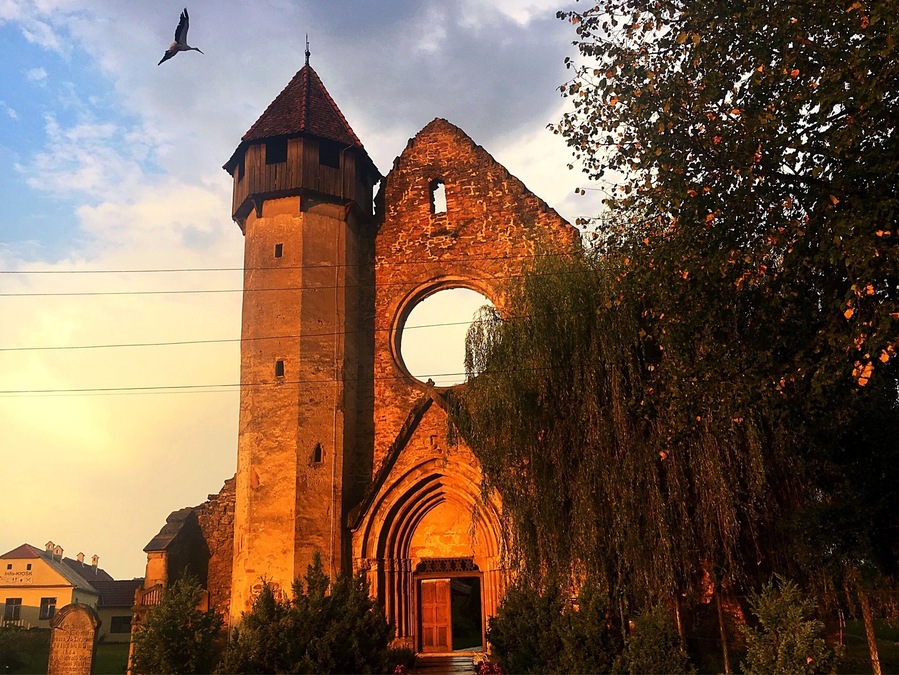 Jolie visite de la petite église de Cârța et des ruines du monastère. Après une montée en haut de la tour dans un étroit escalier en colimaçon, nous pouvons apercevoir de très près des cigognes perchées sur le haut des ruines.
#sunset #stork