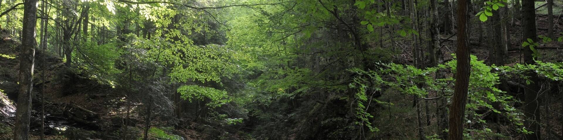 #Waterlust - me ob the Suru cascade river