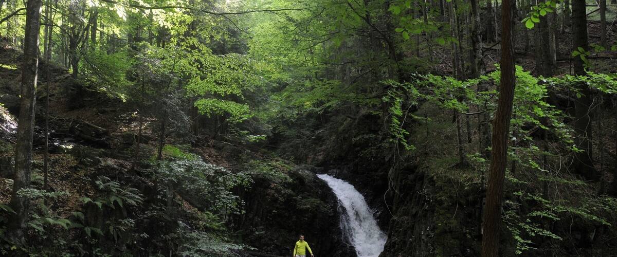 A waterfall in a forested area with dense foliage and a person standing on a rock ledge.