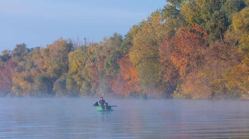 A calm lake with a person fishing in a small boat, surrounded by autumn-colored trees.