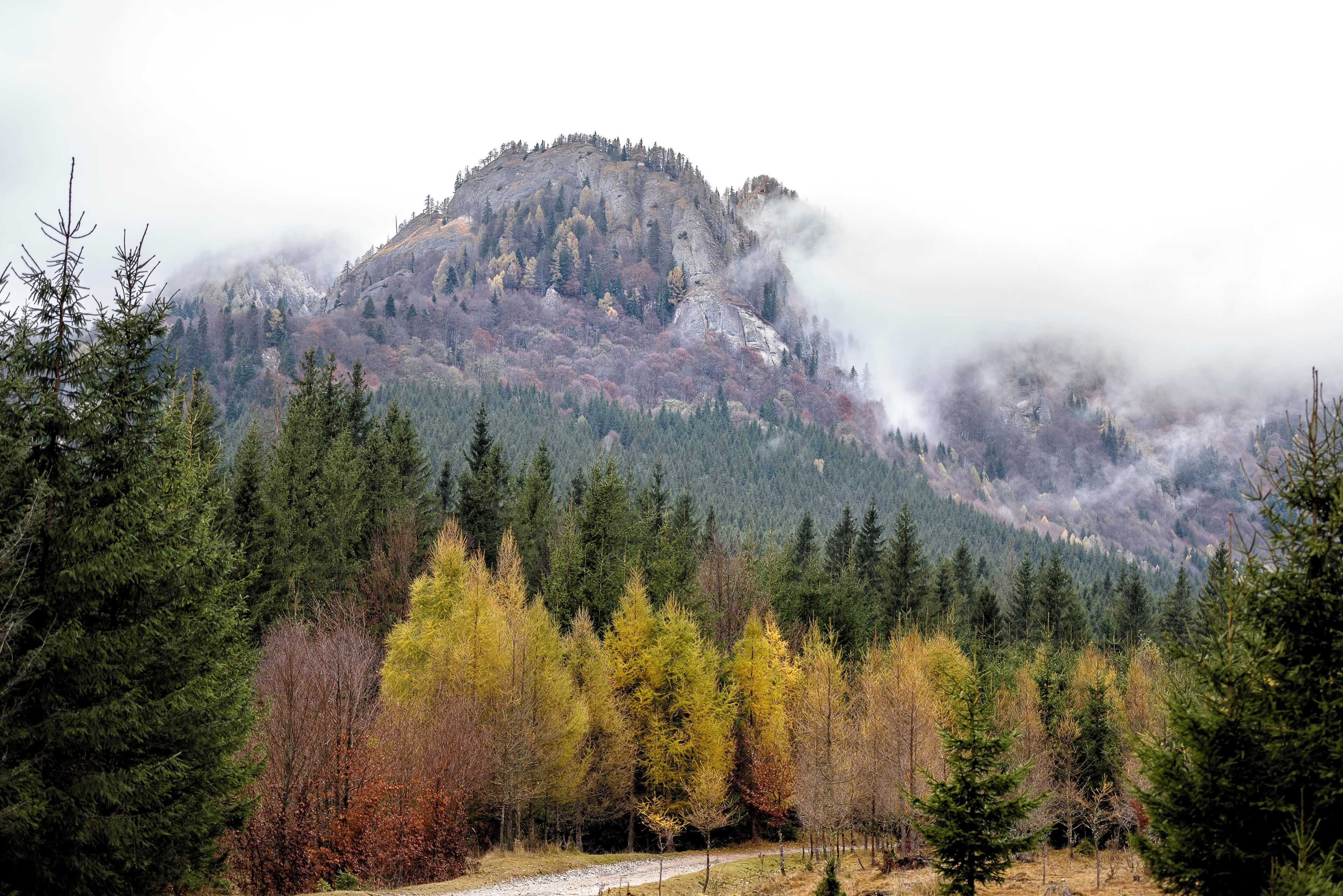 On a walk with my wife on a beautiful October day