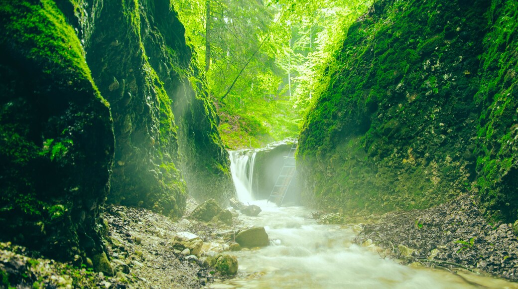 Amazing place for picnic, hiking or just for a walk with the kids.