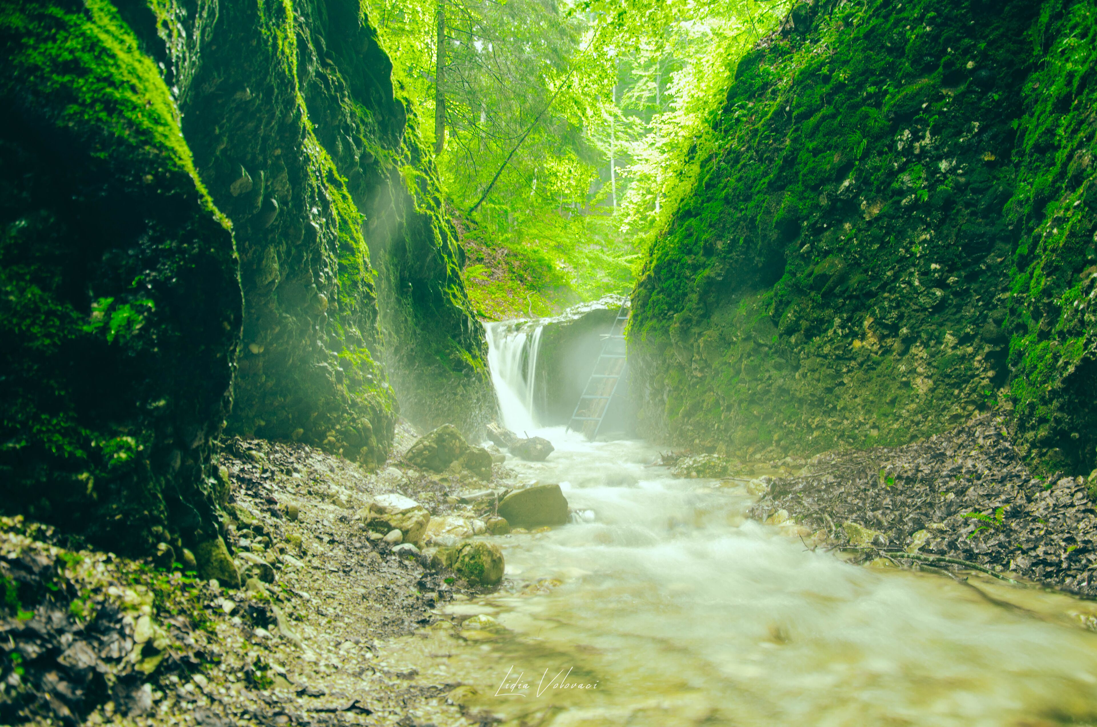 A waterfall in a forested gorge with moss-covered rocks and a narrow path leading to the water.