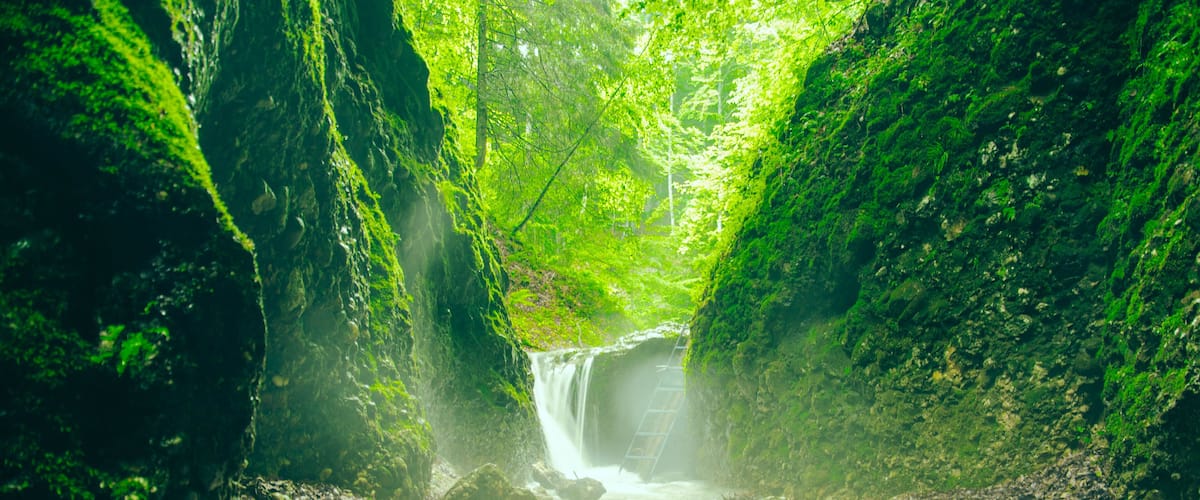 A waterfall in a forested gorge with moss-covered rocks and a narrow path leading to the water.