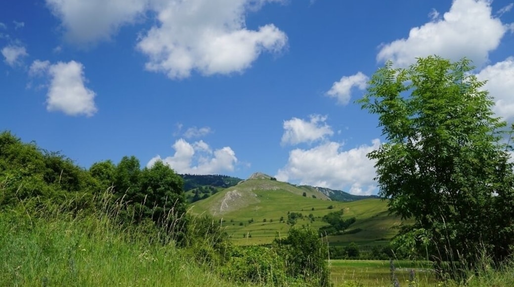 Sub-Carpathian mountains view in Romania